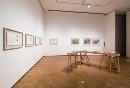 Glynn Vivian exhibitions - February 2019Photo © Polly Thomas