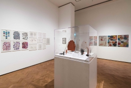 Glynn Vivian exhibitions - February 2019Photo © Polly Thomas