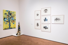 Glynn Vivian exhibitions - February 2019Photo © Polly Thomas