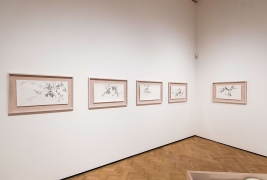 Glynn Vivian exhibitions - February 2019Photo © Polly Thomas