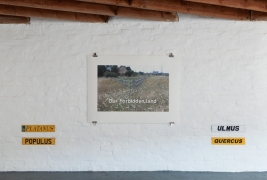 Installation view of imagery by Edward Chell at Tank Gallery, London, November 2011